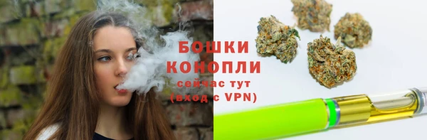 сатива Балабаново