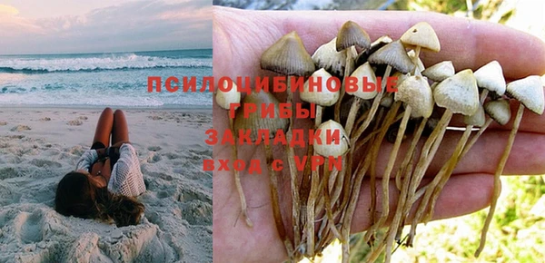 сатива Балабаново