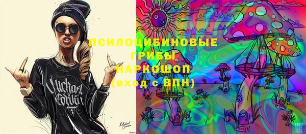 a pvp Няндома