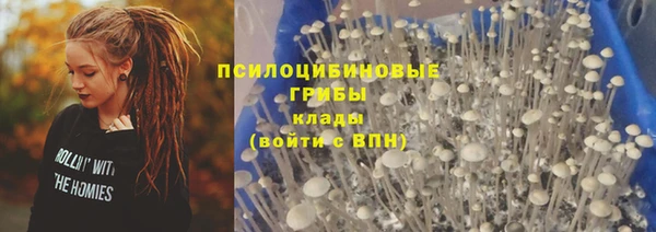 ALPHA PVP Баксан