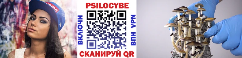 MEGA ссылки  Переславль-Залесский  Псилоцибиновые грибы мицелий 
